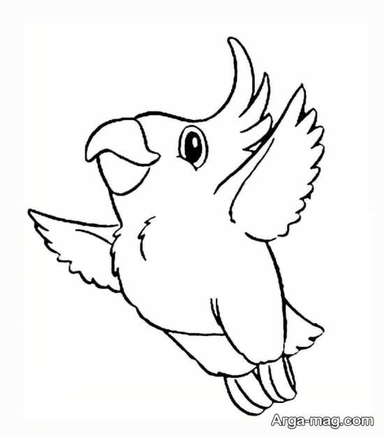 نقاشی پرنده در حال پرواز
