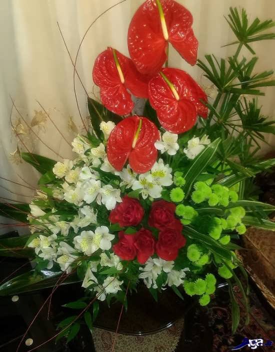 تزیین زیبای سبد گل