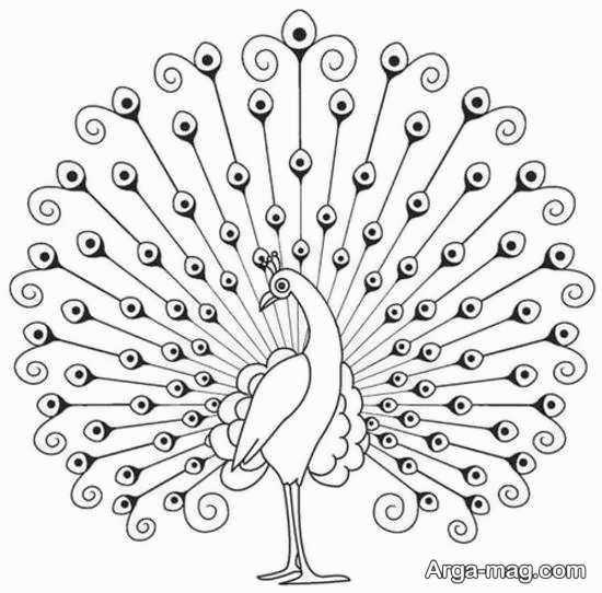 طرحی از طاووس برای گلدوزی