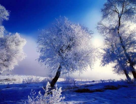 عکس زیبا از زمستان 