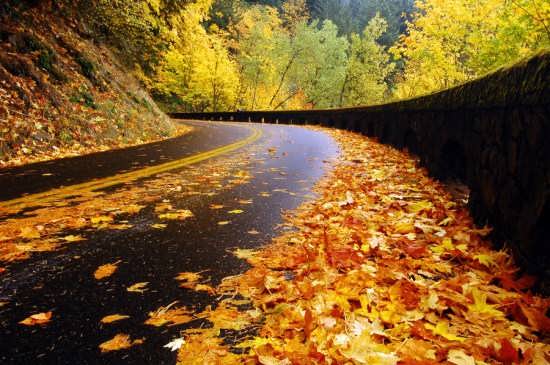 تصویر زیبای جاده پاییزی 