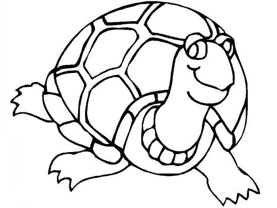 لاکپشت عکس کارتونی عکس نقاشی