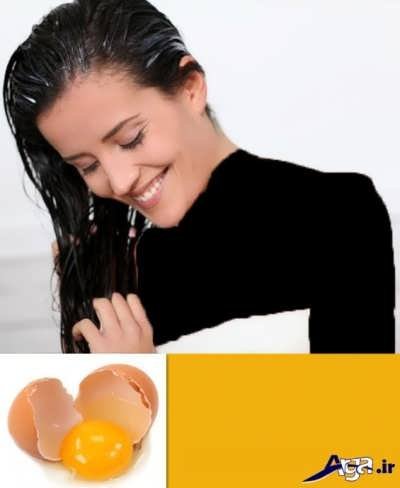 درمان موی چرب با روش های خانگی 