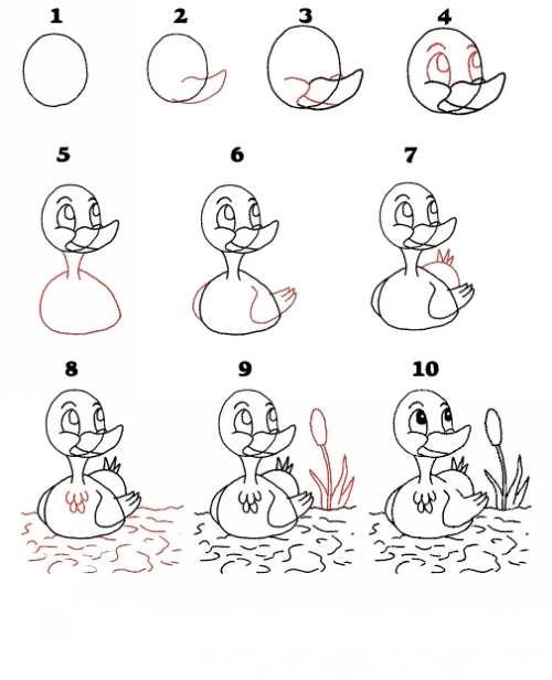 آموزش نقاشی اردک کارتونی 