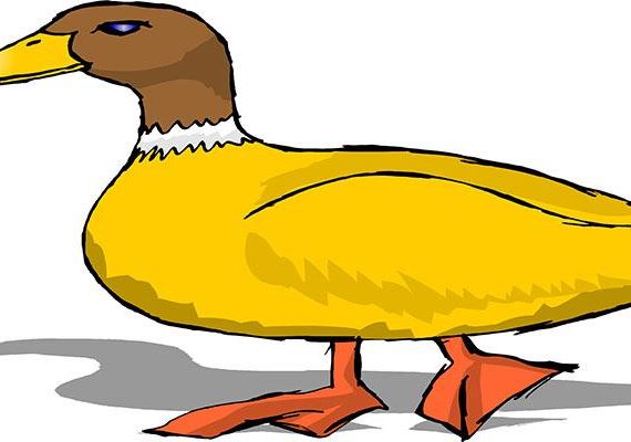 نقاشی اردک برای رنگ آمیزی کودکان