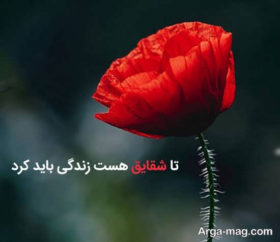 عکس نوشته با شعری عاشقانه از سهراب سپهری