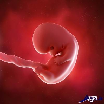 علائم بارداری در هفته اول