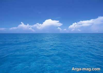سخنان بزرگان درباره زندگی و موفقیت 