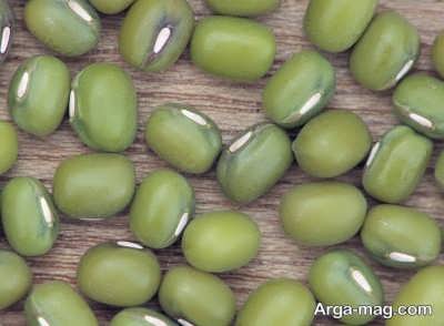 ماش سبز یک انرژی زا واقعی 