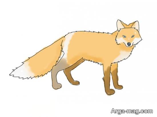 نقاشیهایی از روباه