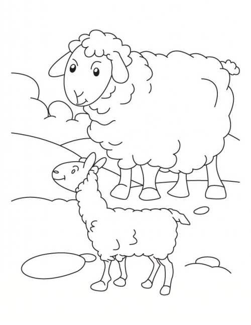 نقاشی گوسفند برای بچه ها 