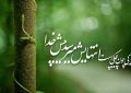 جملات ناب در مورد خدا