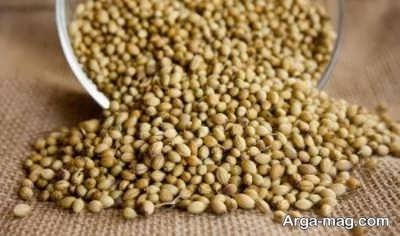 تخم گشنیز برای درمان گل مژه