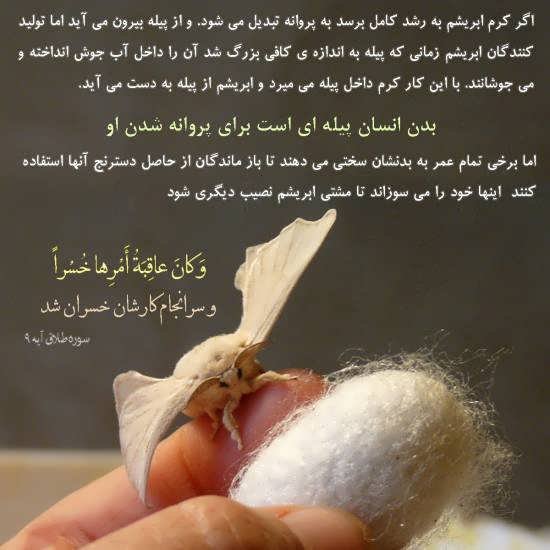 عکس نوشته های قرآنی در مورد ابریشم