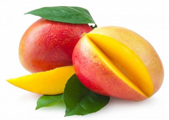 مراحا کاشت دانه انبه