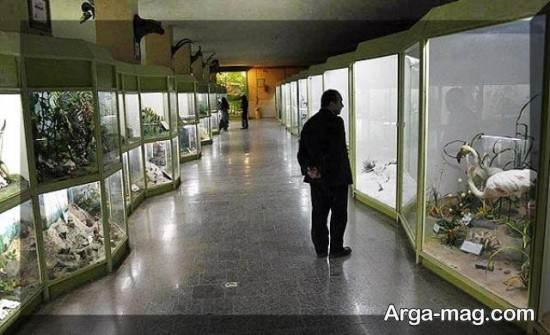 موزه استان همدان 