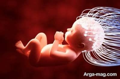 سقط جنین در خواب دارای چه تعبیری است ؟ 