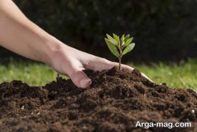 ایده های طبیعی و ارزان برای تقویت خاک