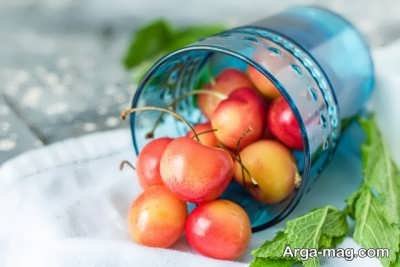 Cherry Properties 7 - خواص گیلاس و مهم ترین فواید مصرف این میوه محبوب