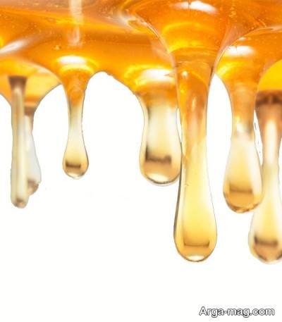 درمان میکروب معده با مصرف عسل