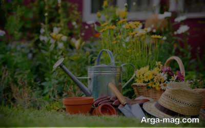 آبیاری کردن گیاه بابا آدم