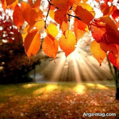 جمله های زیبا برای تبریک تولد مهر ماهی 