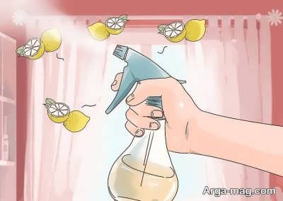 موثرترین روش برای برطرف کردن بوی نم خانه