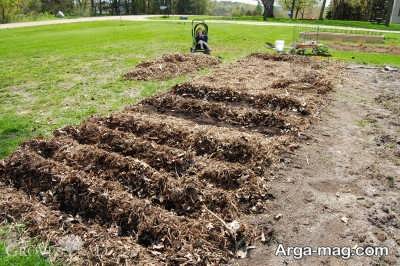 تعیین خاک مناسب برای پرورش بامیه ها