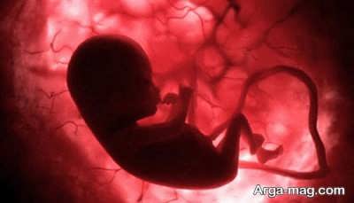 نظر مراجع تقلید در زمینه سقط جنین