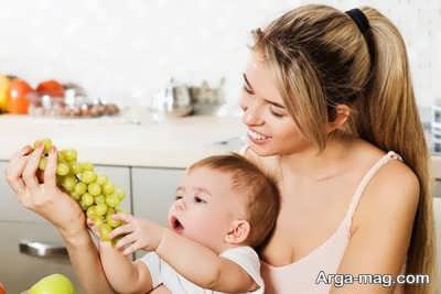 مصرف میوه های مفید در دوران شیردهی