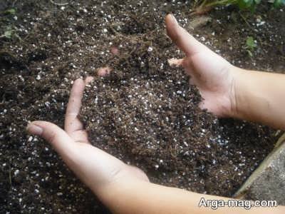 استفاده از خاک مناسب برای کاشت و پرورش گل هویا