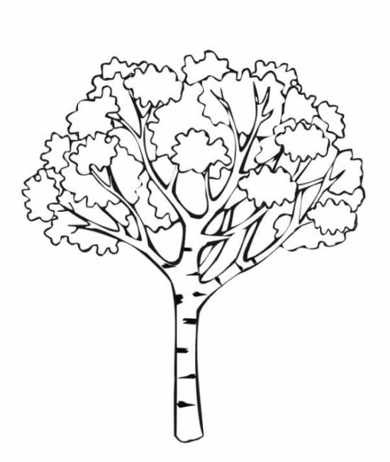 نقاشی درخت 