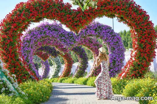 زیبایی باغ گل های دبی 