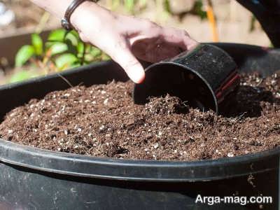 استفاده از خاک مقوی برای گیاه