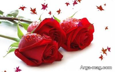 اس ام اس تشکرآمیز 