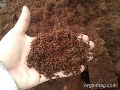 تاثیر خاک پیت ماس بر روی رشد بهتر گیاه