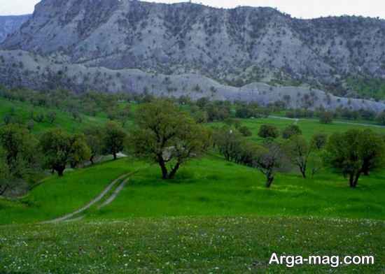 کوه های ایلام