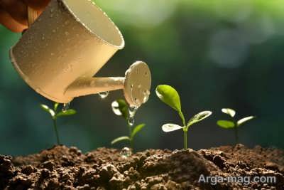 تهیه خاک مساعد برای رشد بهتر گیاه
