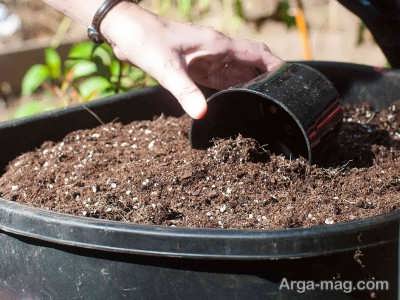استفاده از کودهای مرغوب برای رشد گیاه
