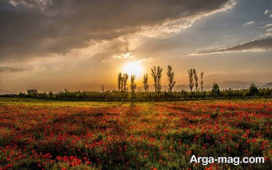 جالب ترین ها در مشگین شهر اردبیل