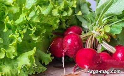 آشنایی با خواص برگ تربچه