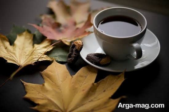 عکس پاییزی با فنجان قهوه
