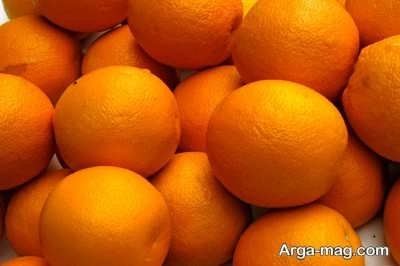 استفاده از پرتقال برای دفع آفات گیاهان آپارتمانی