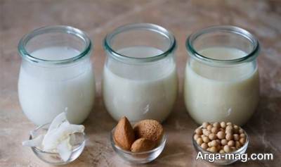 طرز تهیه شیر گیاهی در خانه 