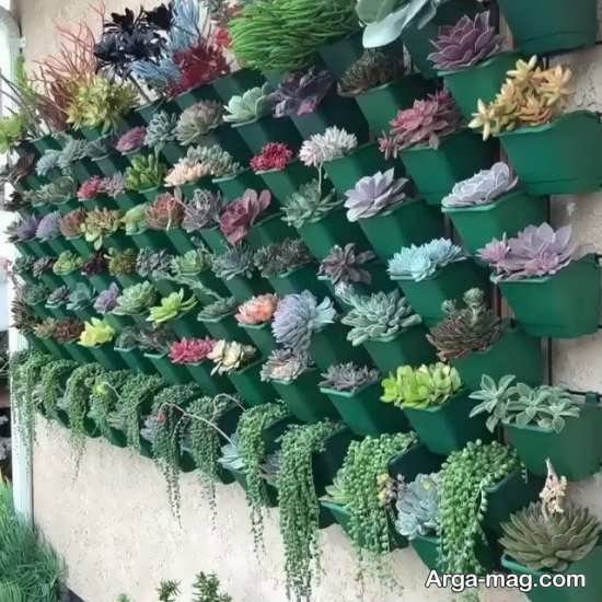 دیوار سبز لاکچری و زیبا