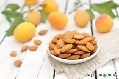 خاصیت های هسته زردآلو