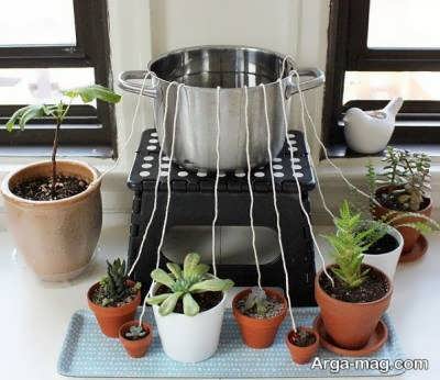 آب دادن گیاهان آپارتمانی