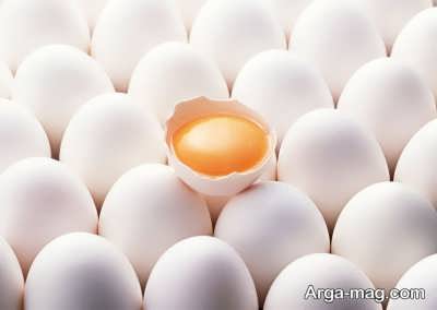 استفاده از زرده تخم مرغ برای تشخیص تازگی آن 