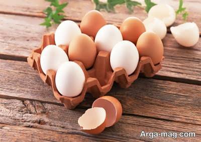میزان چالازا یکی از روش های تشخیص تخم مرغ سالم می باشد 