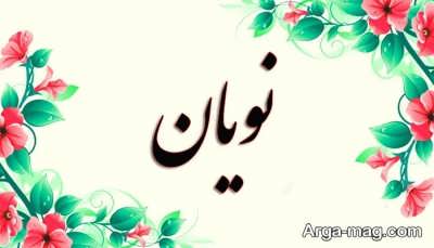 معنی اسم نویان در دیکشنری فارسی